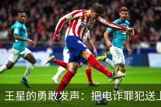 王星的勇敢发声：把电诈罪犯送上“法律快车